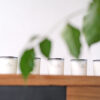 TINGS Aroma 經典香氛蠟燭：圖片 2