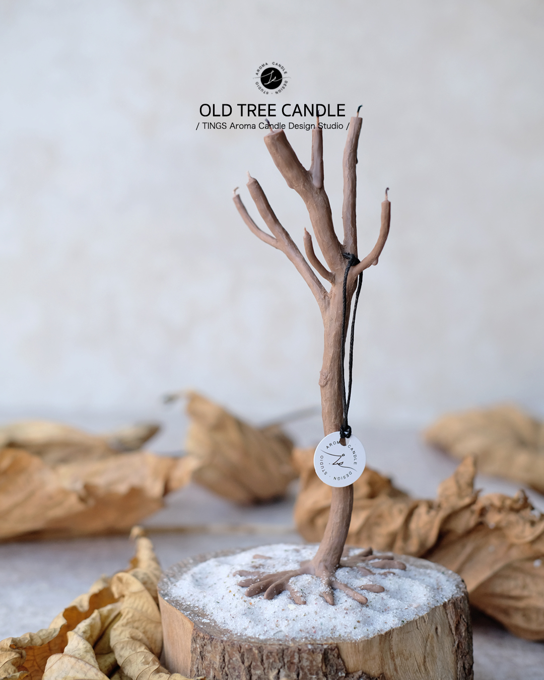 老樹蠟燭 oldtreecandle